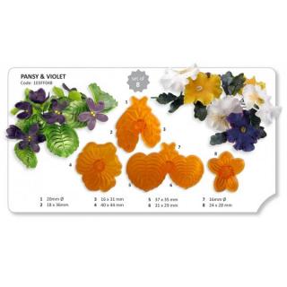 Pansy and Violet set 4 ks -30%