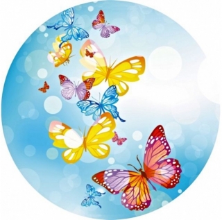 Obrázok motýle