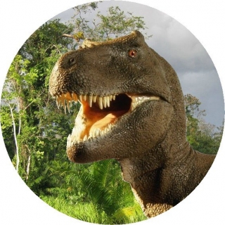 Obrázok dinosaurus