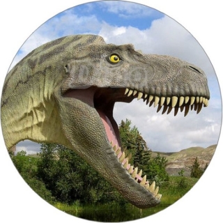 Obrázok dinosaurus