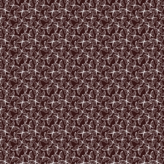Chocotransfer biele motýle