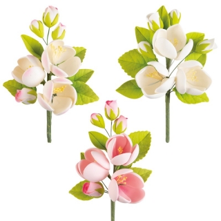 Kytica Frangipani bielo-ružová